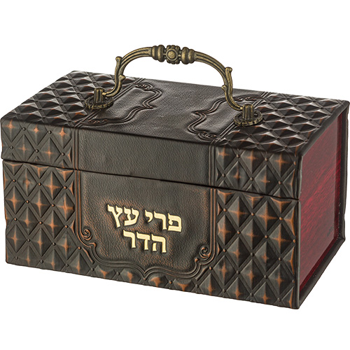 Leatherette Etrog Box with Handle & Lock 13*19*11 cm - Brown