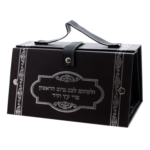 Faux Leather Etrog Box 11x19x13 cm- with Silver Print